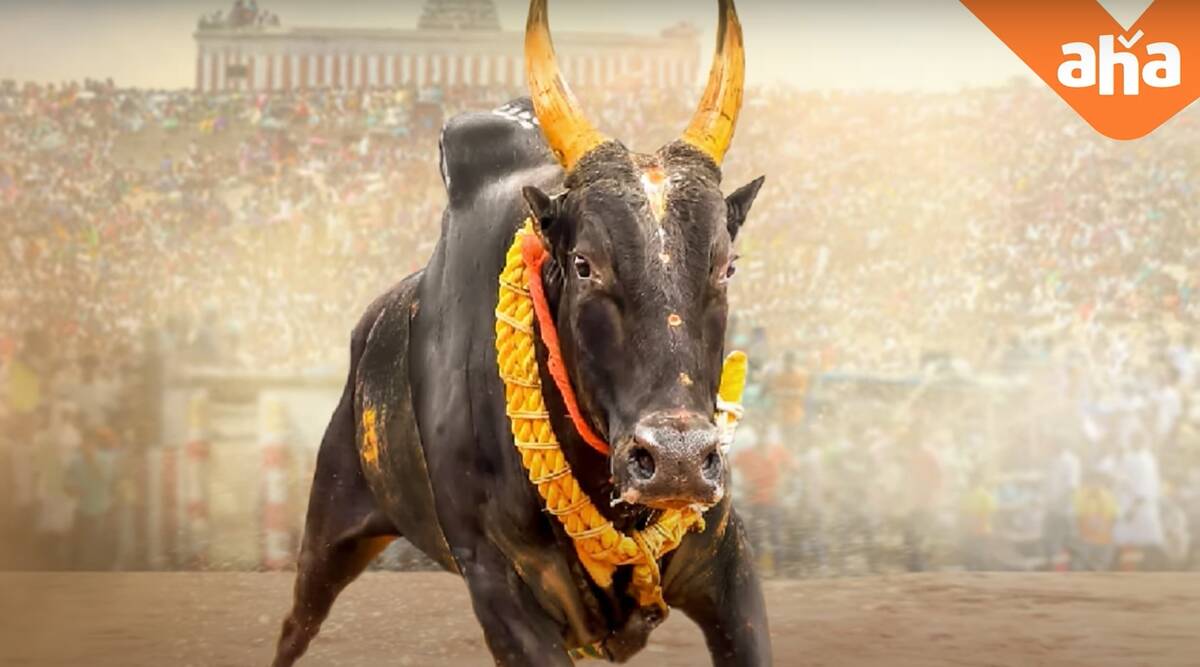 Aha Tamil & Vetri Maaran’s Jallikattu-based Magnum Opus “Pettaikaali” to stream from this Diwali
