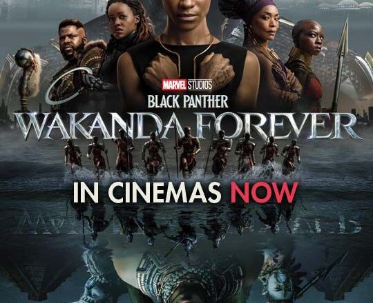 Marvel Studios’ Big Action Entertainer Black Panther:
