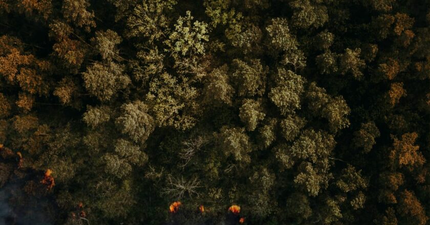 இயக்குனர் பா.இரஞ்சித் தயாரிப்பில் பத்தாவது படத்தின் டைட்டில் நாளை வெளியீடு.