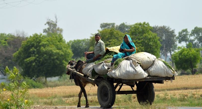 AVPN’s India members share experiences on deepening climate impact in two new videos