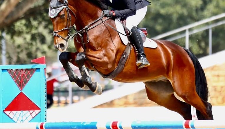 SRMIST Horse rider Mr. Suriya wins a silver medal at the Asian Equestrian Federation Cup.