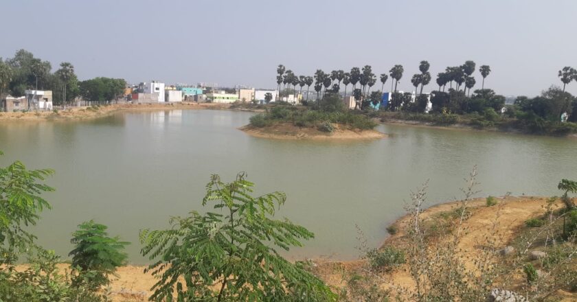 டாடா கம்யூனிகேஷன்ஸ் நிறுவனம் நாகன் தாங்கல் ஏரியை புத்துயிர் பெறச் செய்து me
