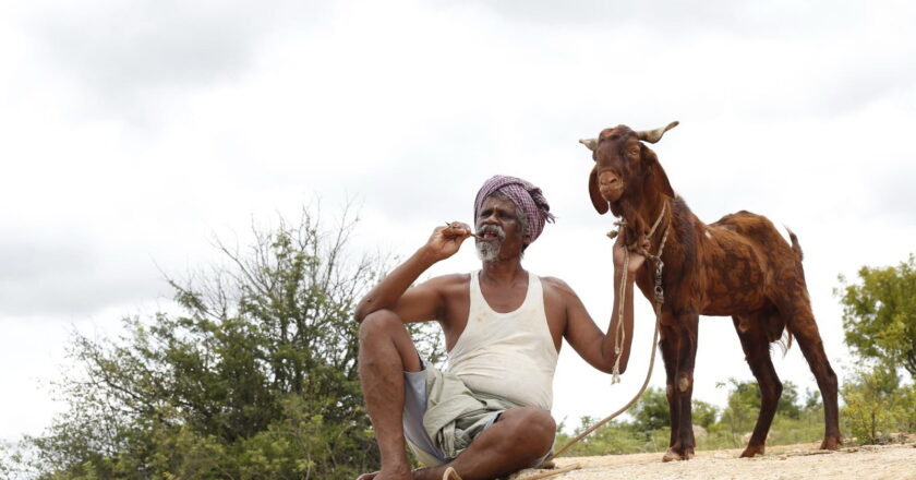 ONDIMUNIYUM NALLAPADANUM Tamil Movie Review